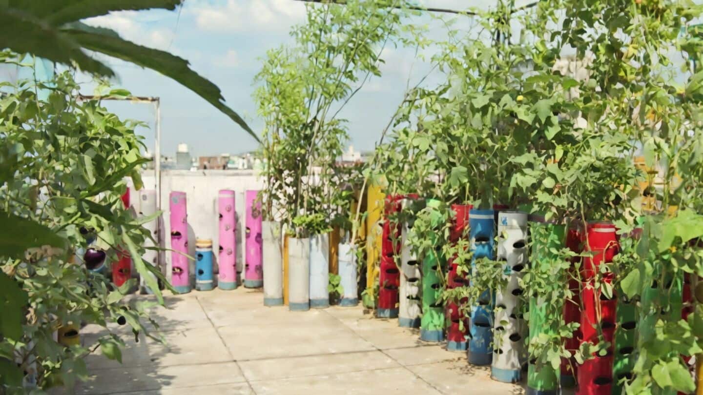 Delhi releases Master Plan 2047 focusing on rooftop urban farming