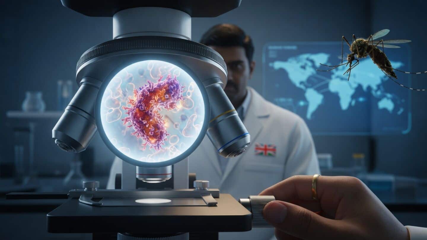India and UK scientists find protein potentially blocking malaria spread