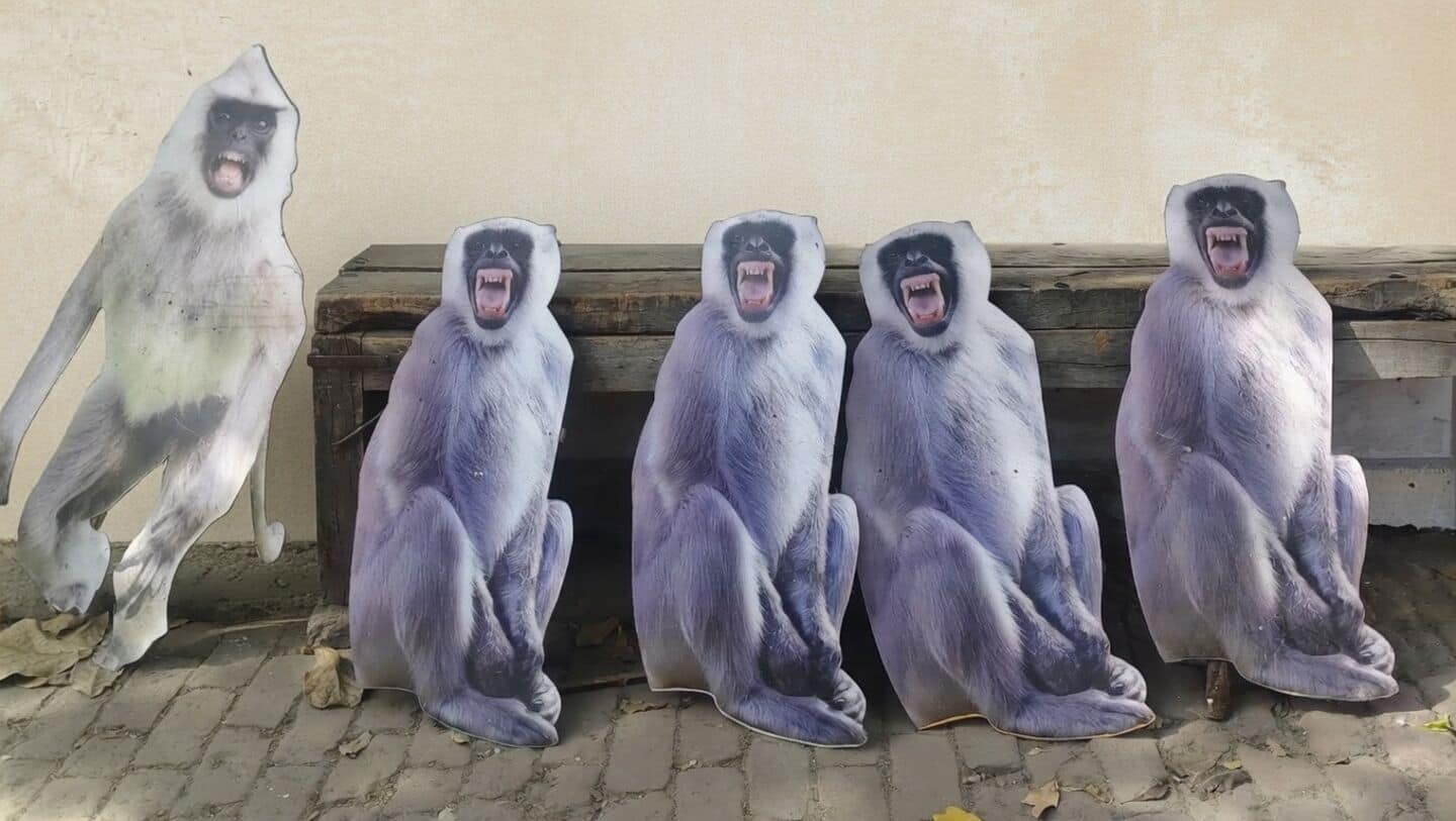 Slingshots, langurs, laser pointers: Murmu's UP visit prep