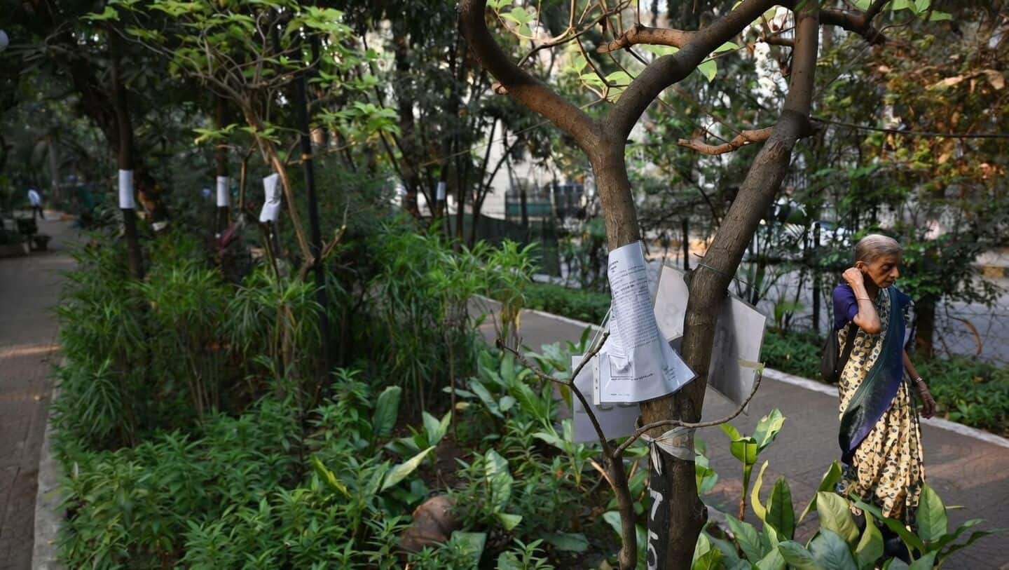 Mumbai BMC to prune over 46,000 trees pre-monsoon amid heat