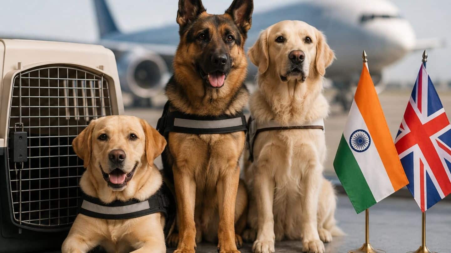 India will waive customs duty IGST on imported event animals