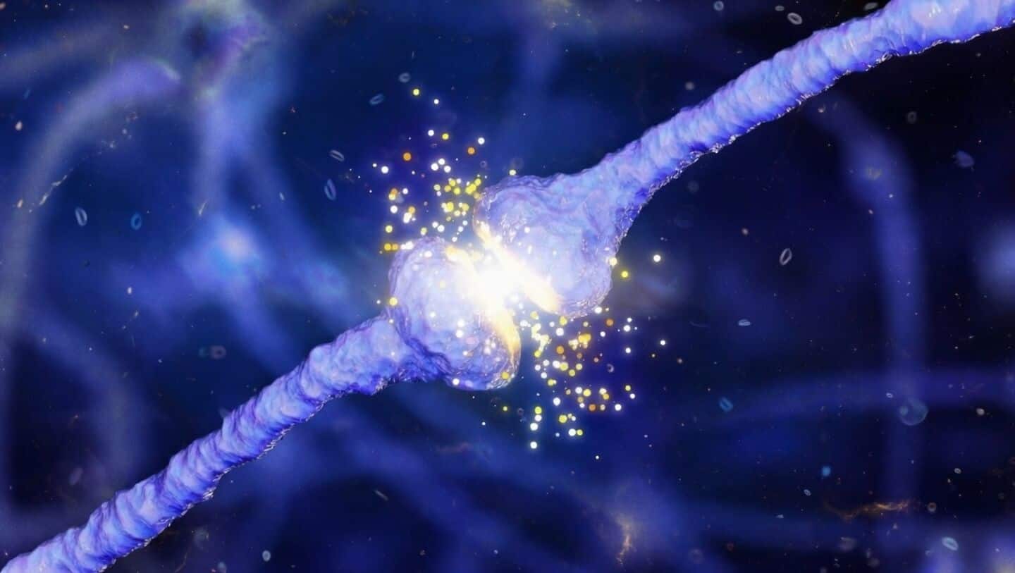 UC Riverside study finds protein battle may underlie Alzheimer's