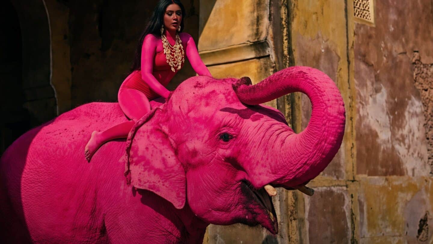 Chanchal, Jaipur's 67-year-old elephant, dies after viral gulal photo shoot