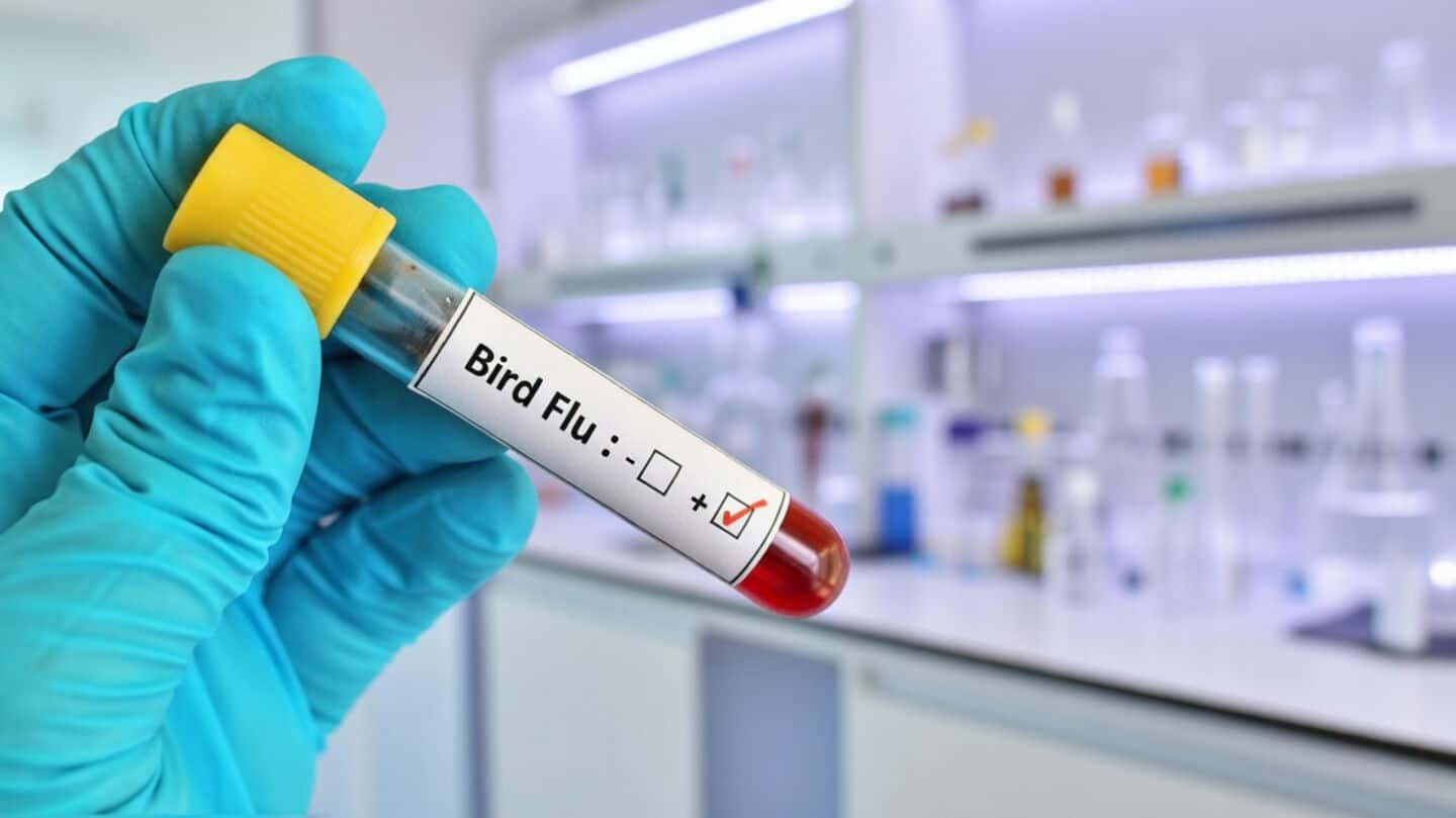 Bird flu outbreak at Chhattisgarh poultry farm, 5,500 chickens dead