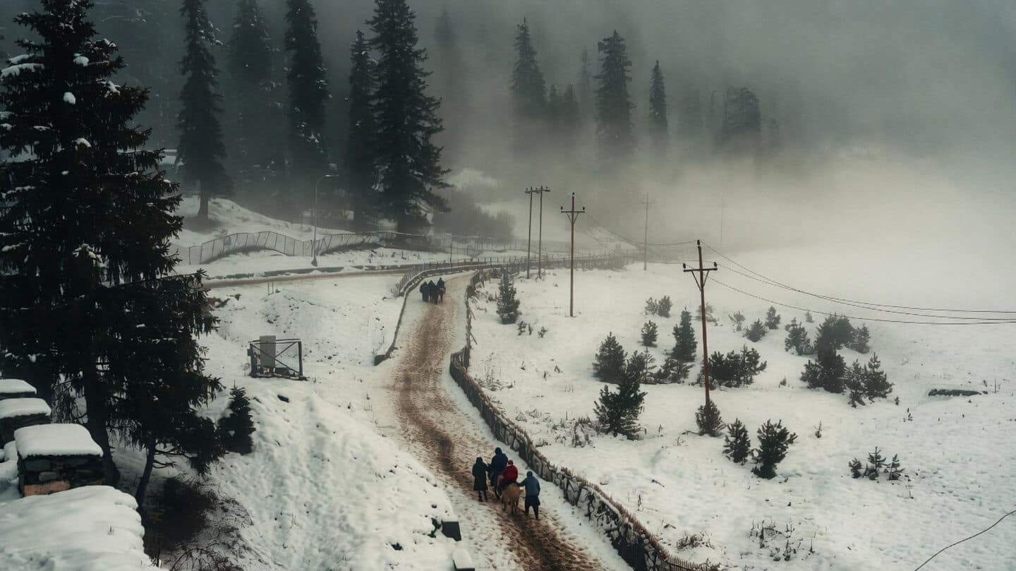 Kashmir's rare May snowfall delights tourists and alarms fruit growers