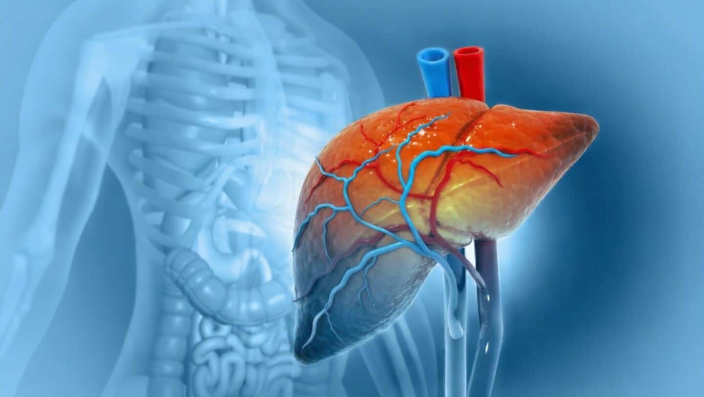 Over 38% of Indians affected by MASLD, report finds