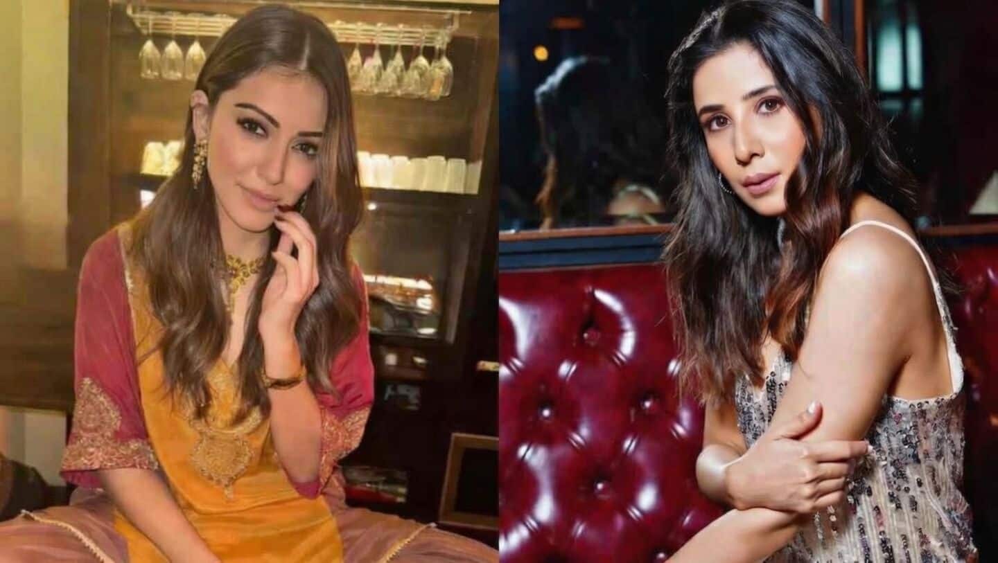 Motwani sues James in court over domestic violence, seeks ₹2cr