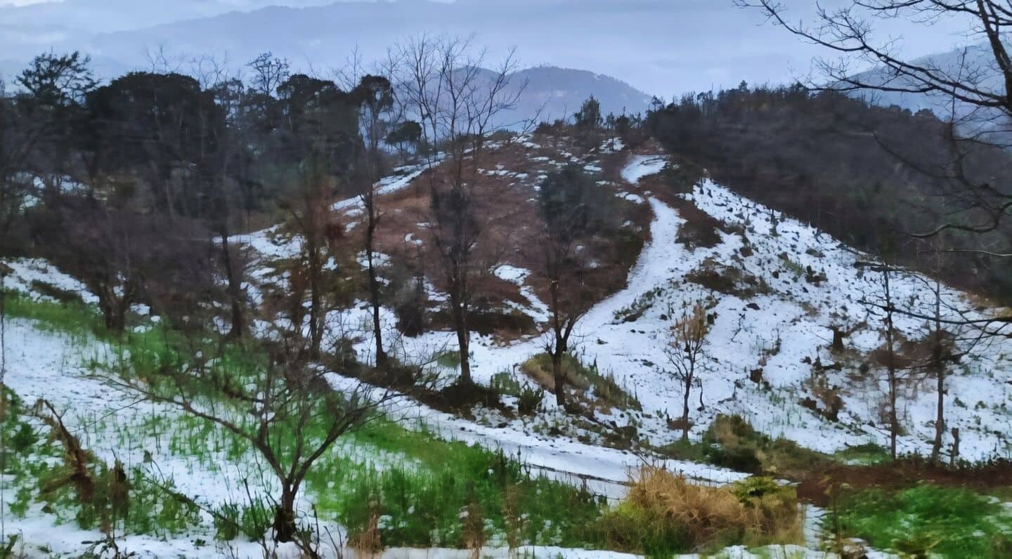 Manipur: Hailstorm damages houses, crops; relief teams deployed