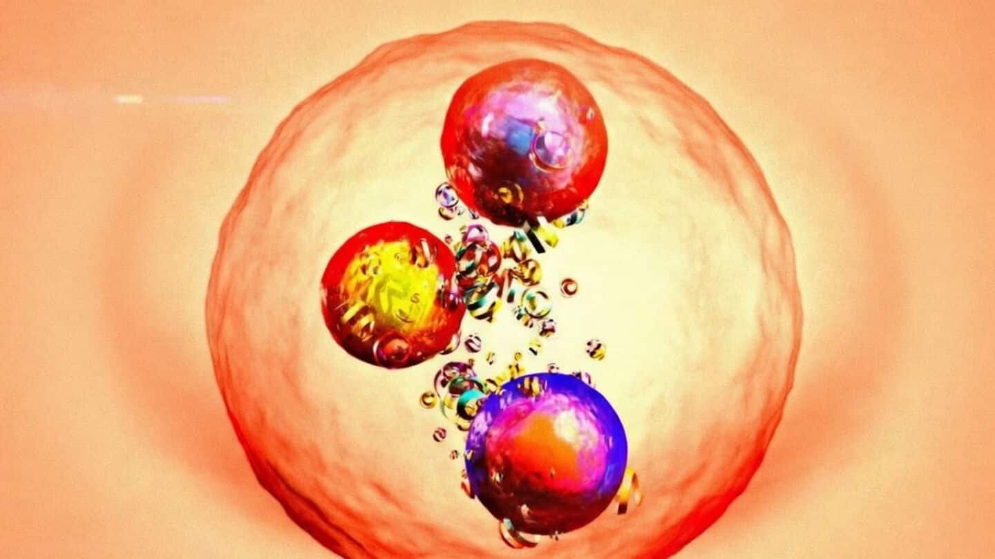 CERN finds new particle that's 4 times heavier than proton