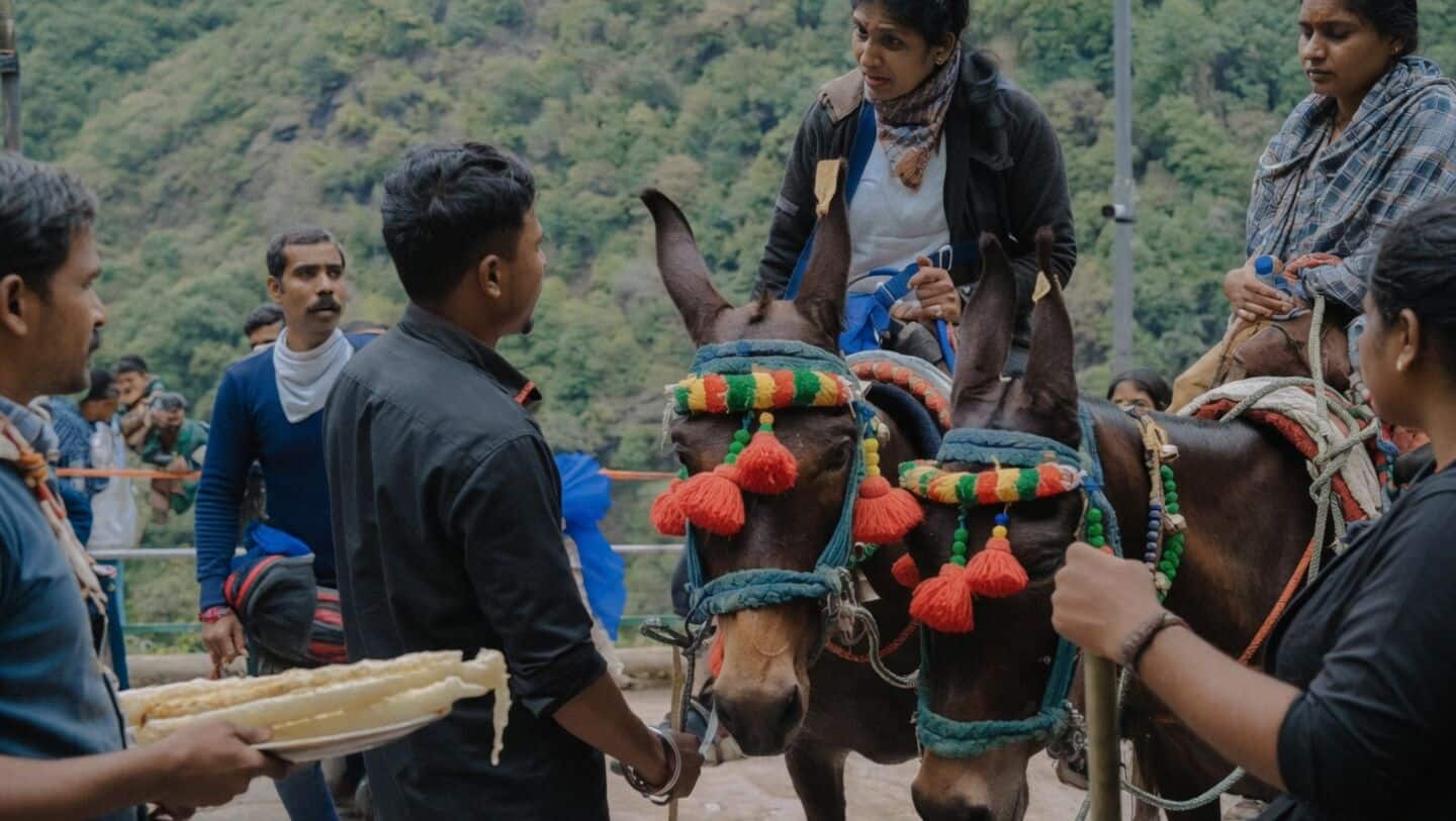 Video shows woman threatening mule handler on Kedarnath Temple route