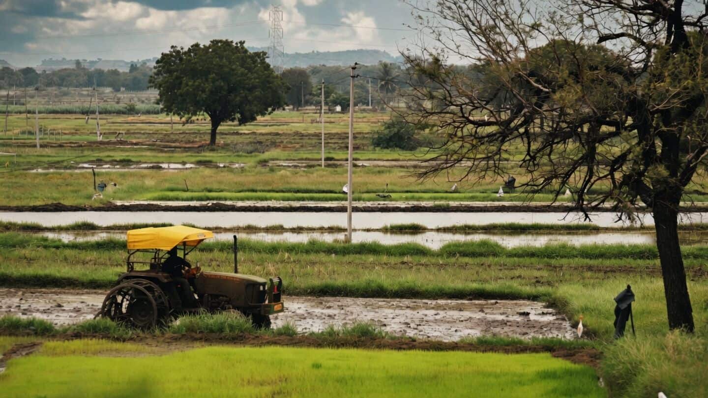 India's monsoon 13% below normal, farmers worried about crops