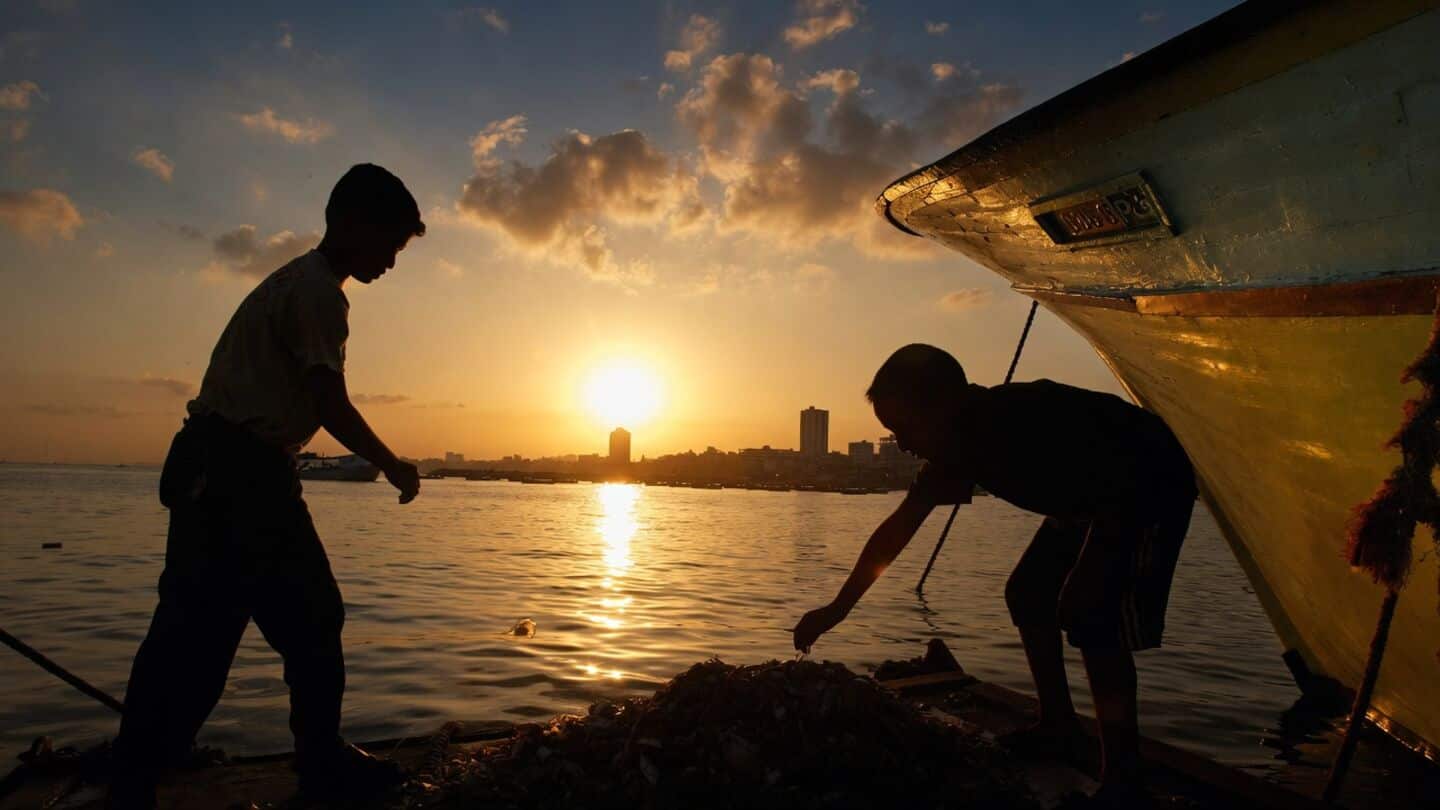 Chennai fishermen protest 1,200cr Pattinapakkam complex threatening livelihoods and ecosystem
