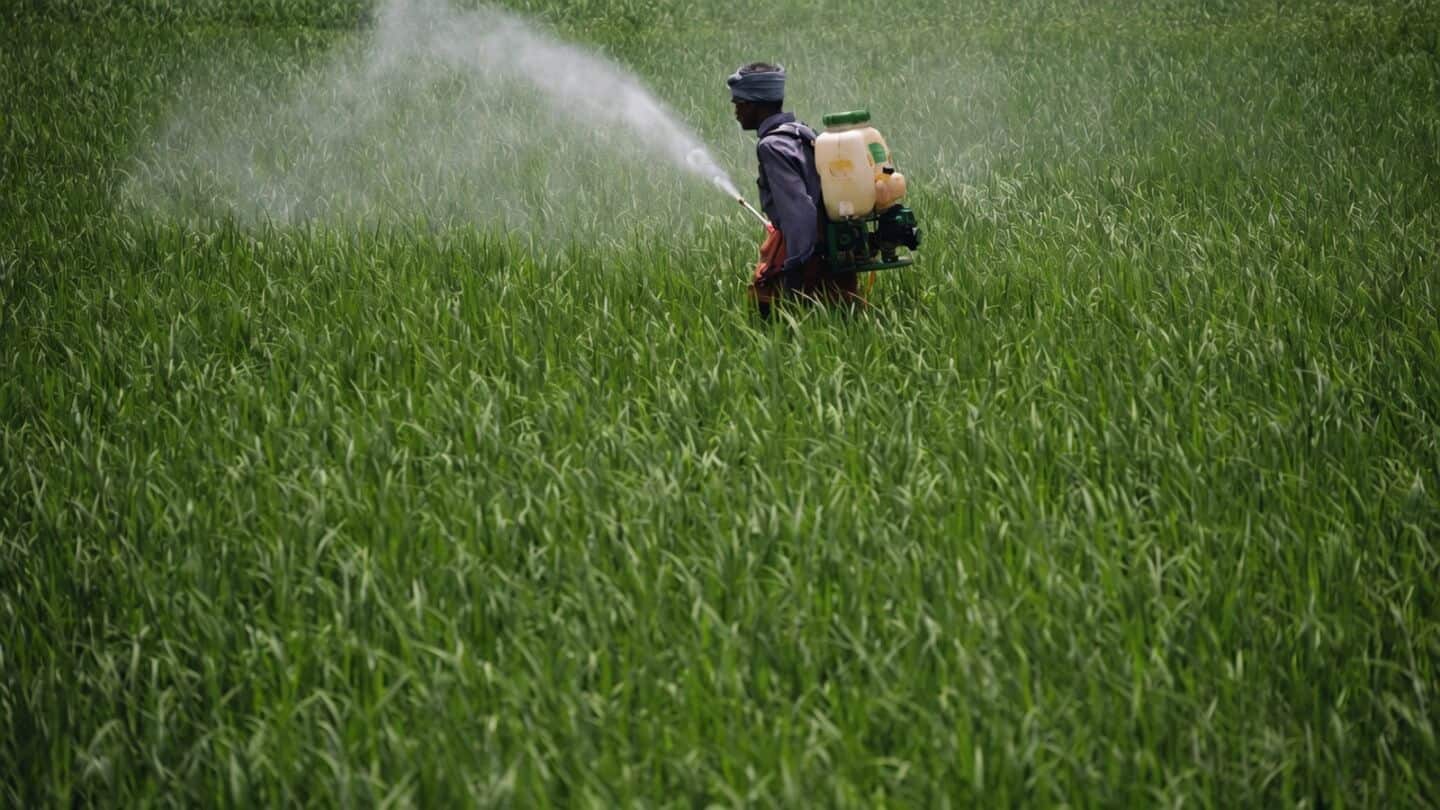 India to ban carbosulfan, stop import sale and use