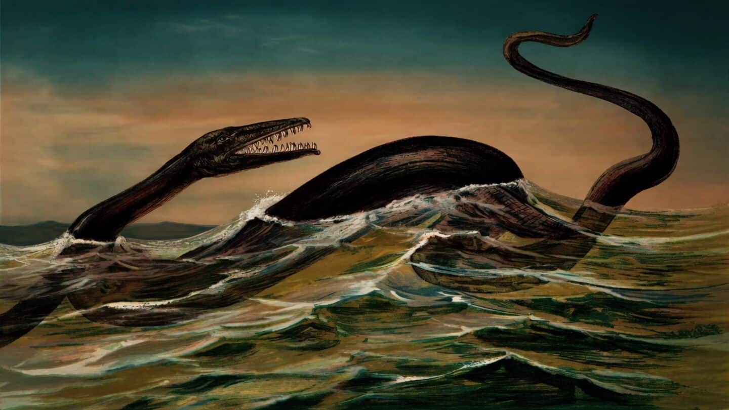 Japanese team uncovers possible new mosasaur species in Osaka samples