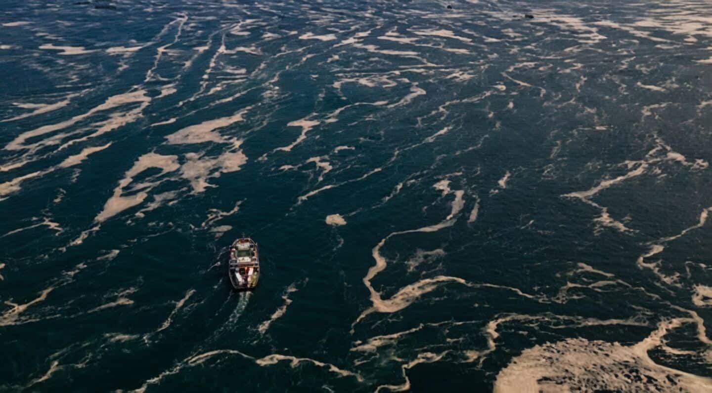 Coastal ocean warming linked to more intense heatwaves: Study