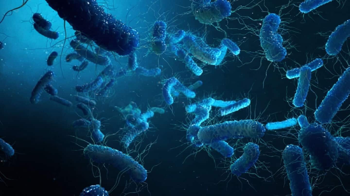 Shigella outbreak in Wayanad sickens 16 after school well contamination