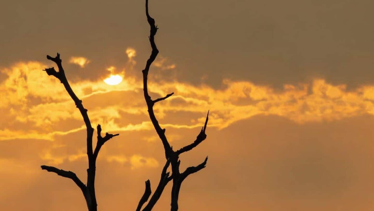 Scientists: El Nino 60-70% likely by July, Indian monsoon threatened