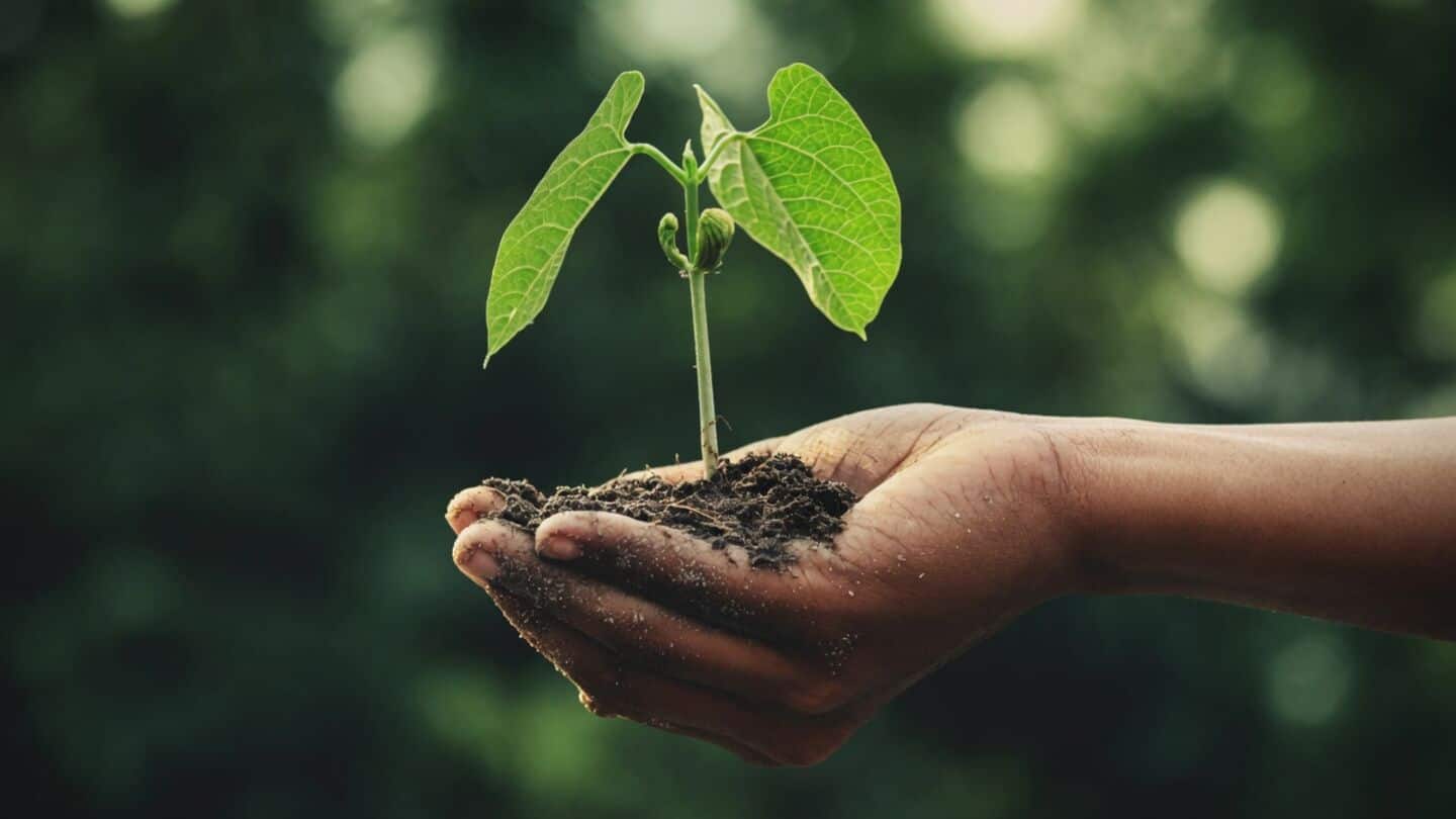Manjinder Singh Sirsa announces Delhi will plant 70L native trees