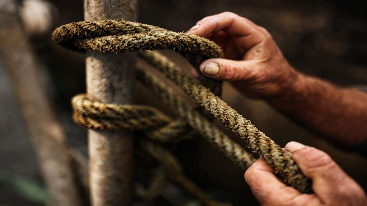 India's seafarer workforce soars to about 12% amid safety concerns