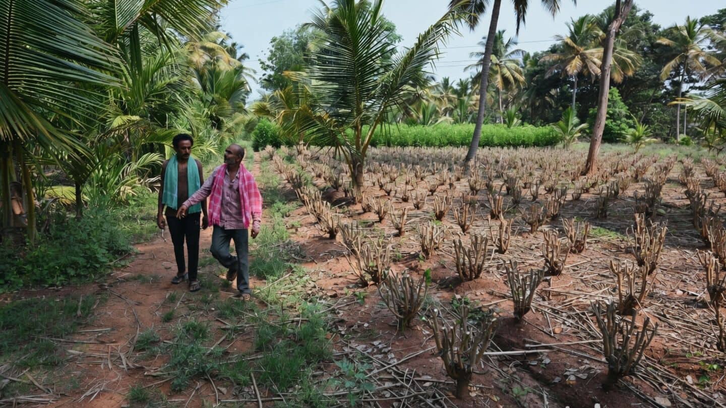 D.K. Shivakumar says Bidadi land losers could get over ₹3cr