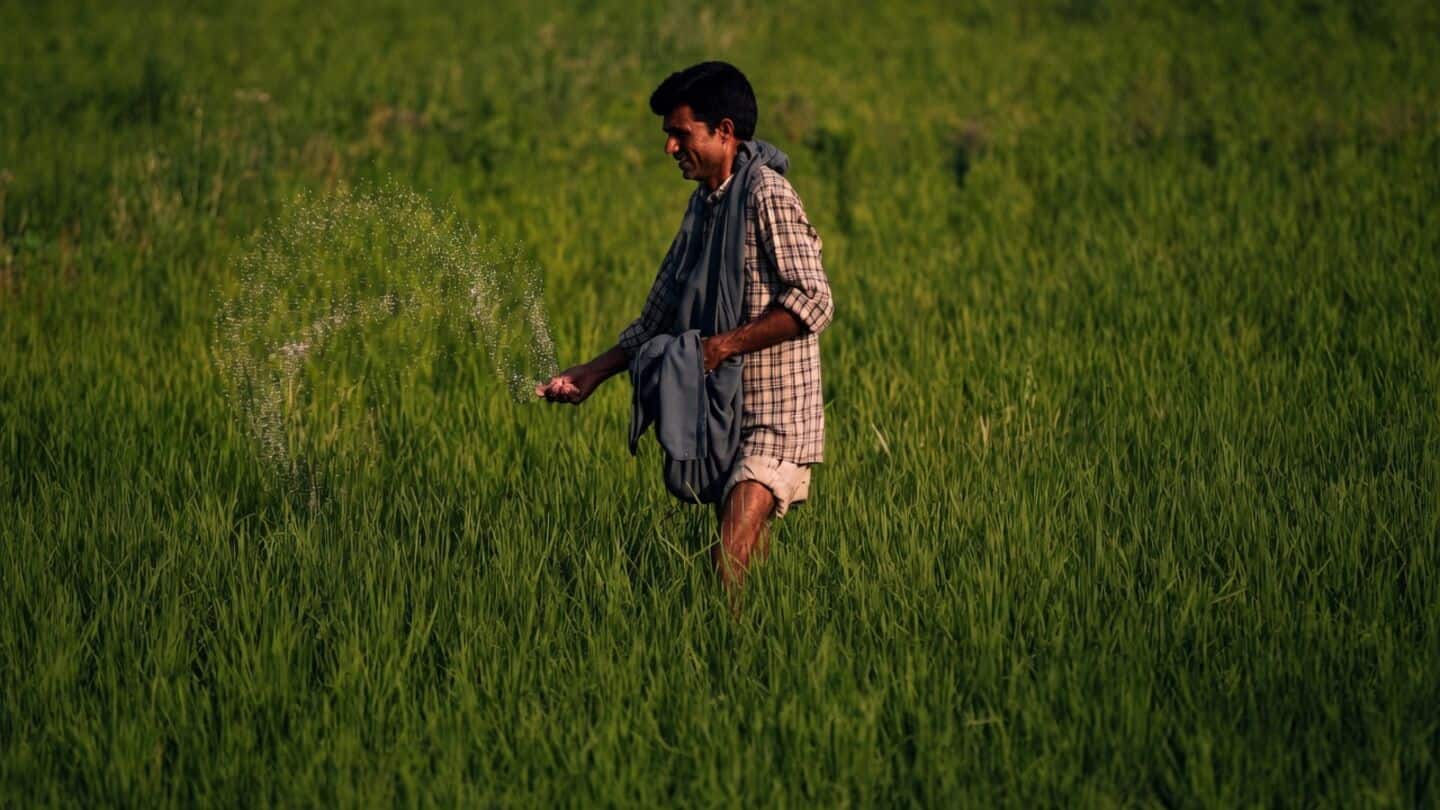 Crop prices see largest monthly jump since 2012 in August