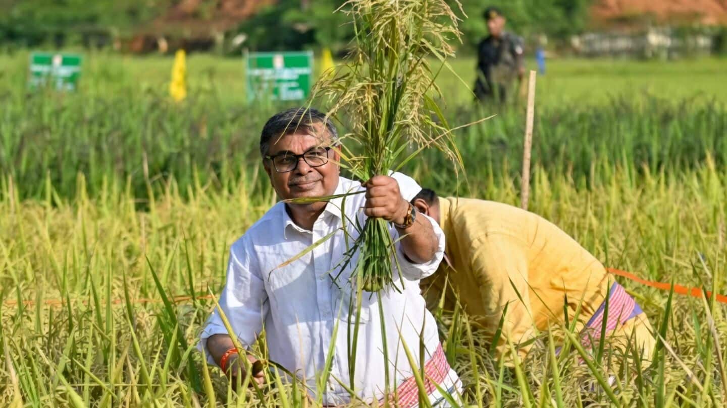 Indian crop insurers seek 5-year data protection under pesticides bill