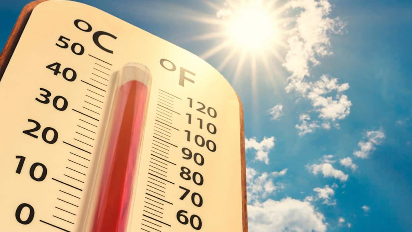 IMD rolls out digital weather observation system on World Meteorological Day