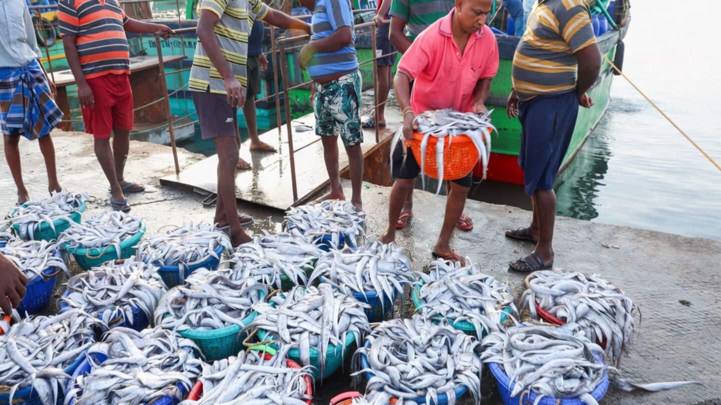 India plans $1 billion marine export zones in Tamil Nadu