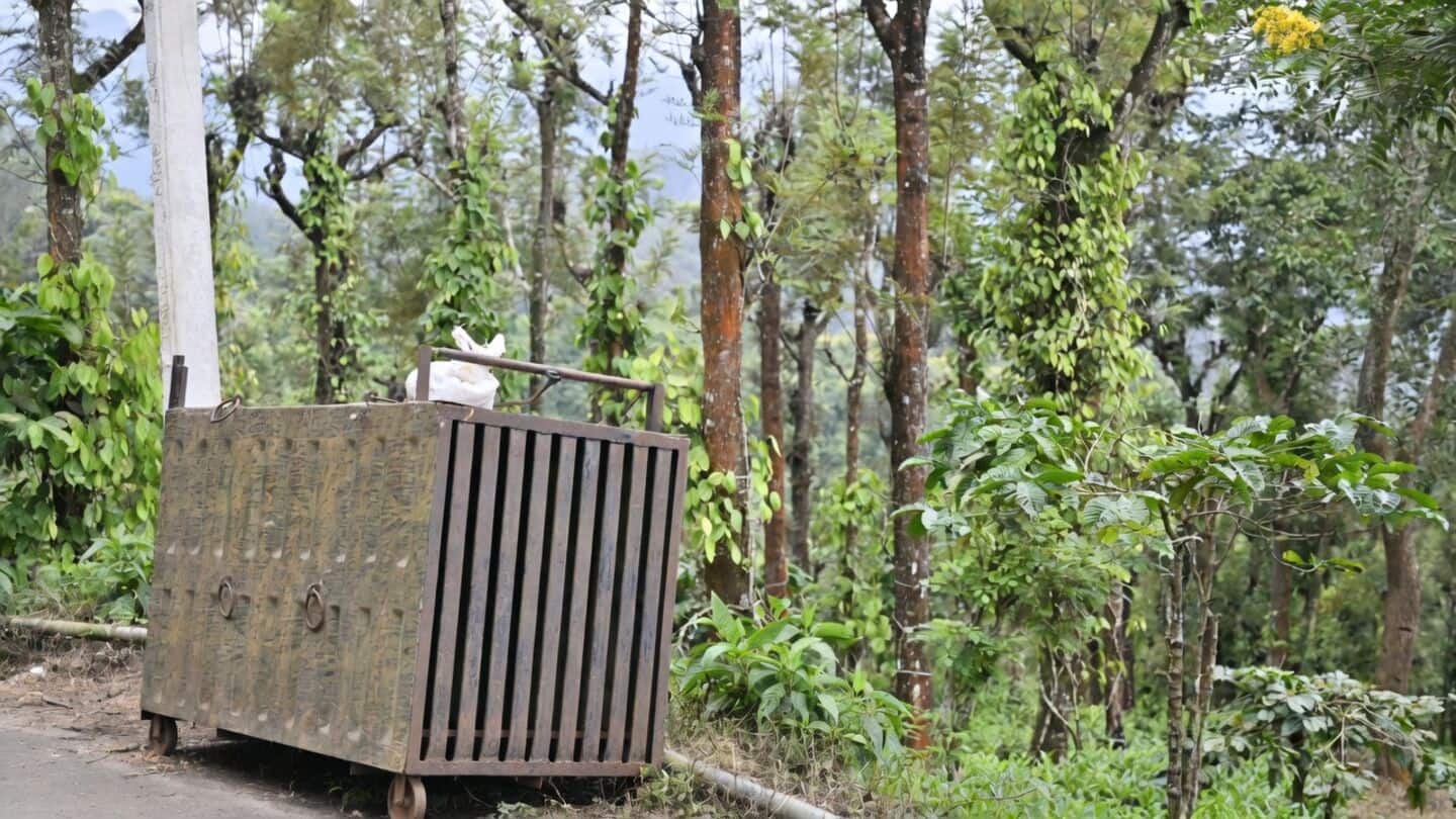 Forest teams track tiger linked to 2 deaths in Gudalur