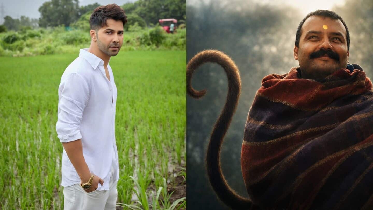 Dhawan calls 'Hanuman Ansh' divine, film earns ₹100cr on ₹2cr