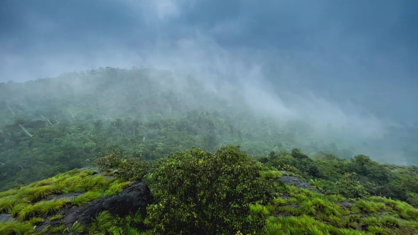 IITM finds 25% monsoon rain evaporates over north western Ghats