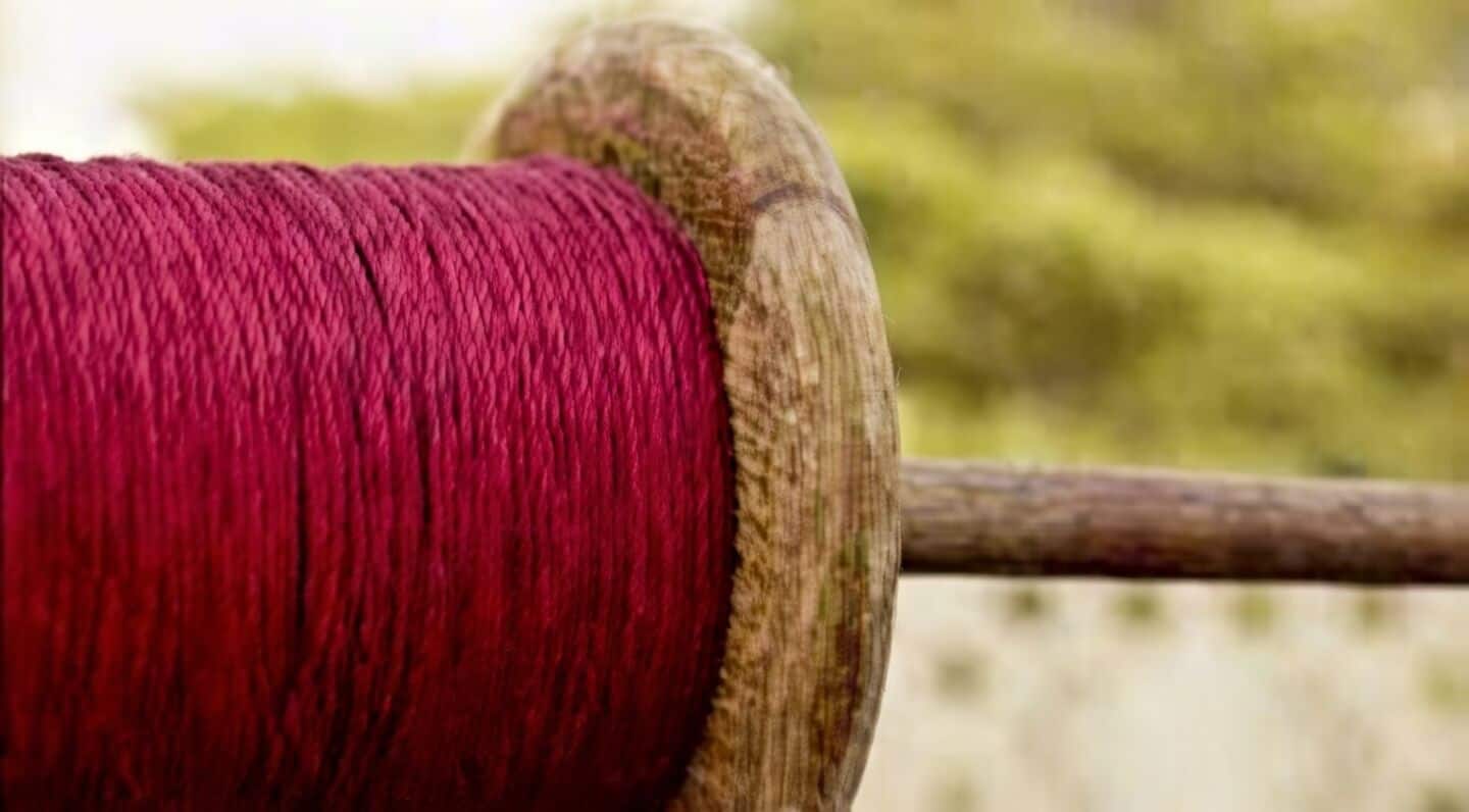 Lucknow girl, 6, suffers deep neck cuts from nylon 'manjha'