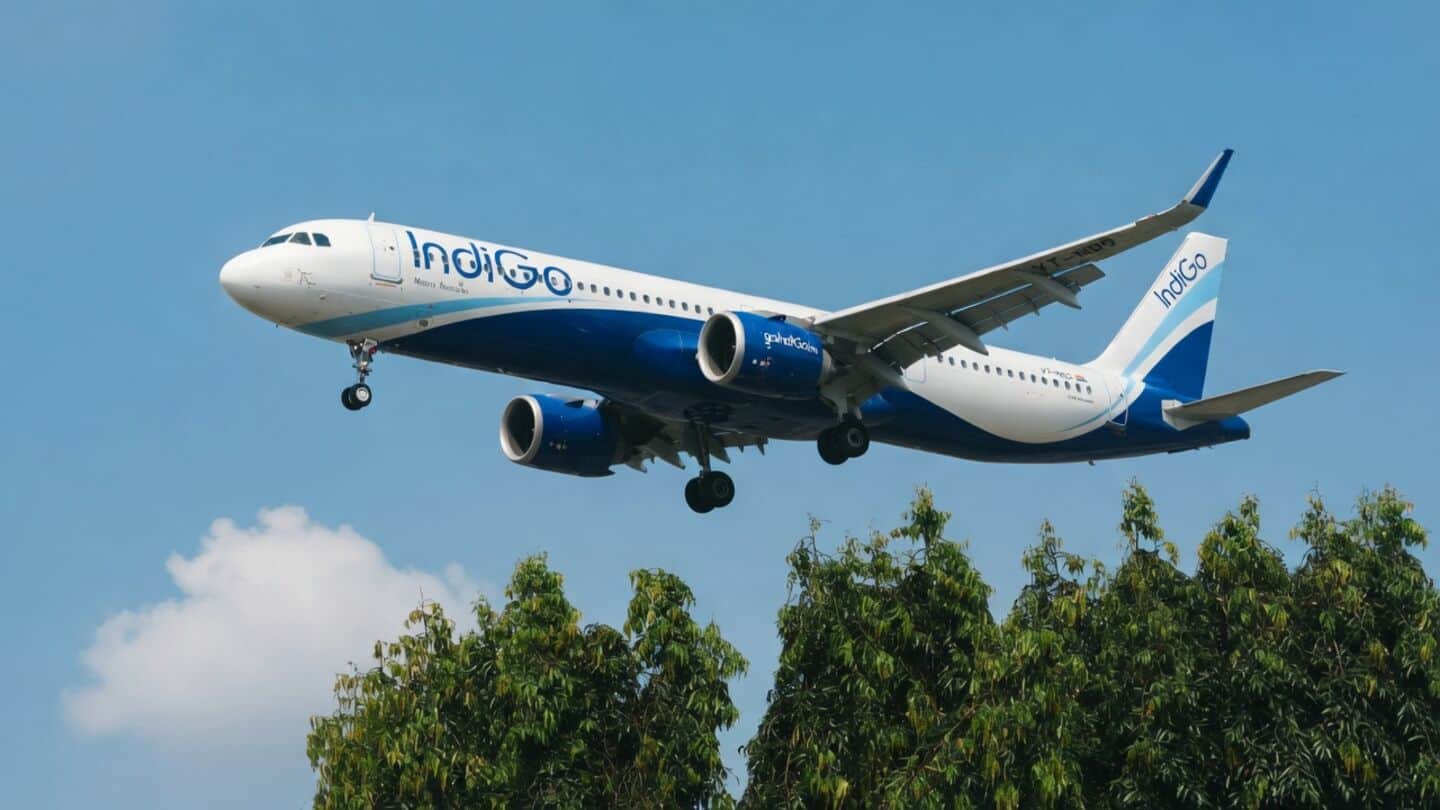 IndiGo captures 67.4% of India domestic market in July 2026
