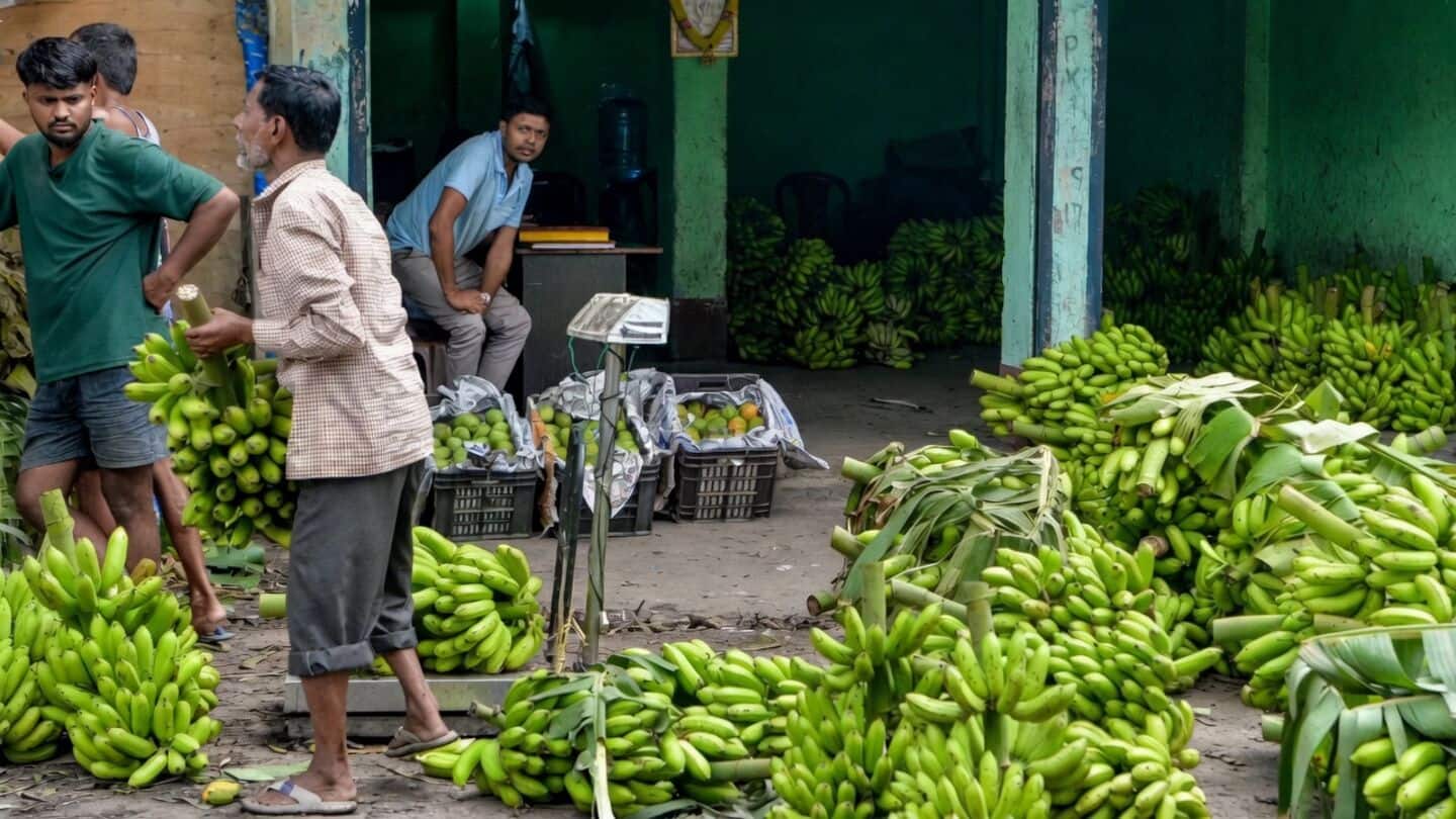 India considering greater FDI in banana plantations to boost exports
