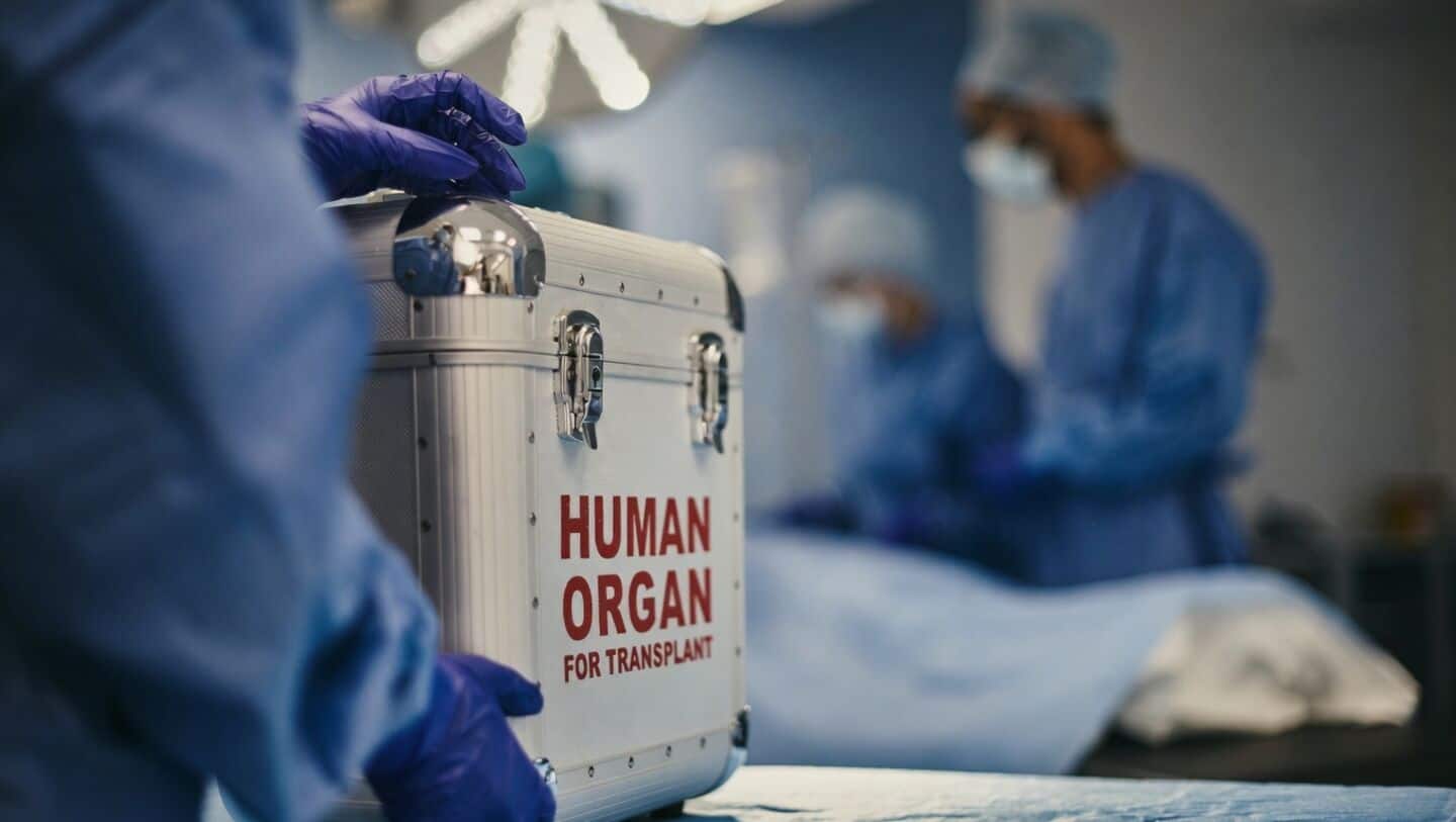 Madras High Court permits mother's kidney donation without DNA requirement