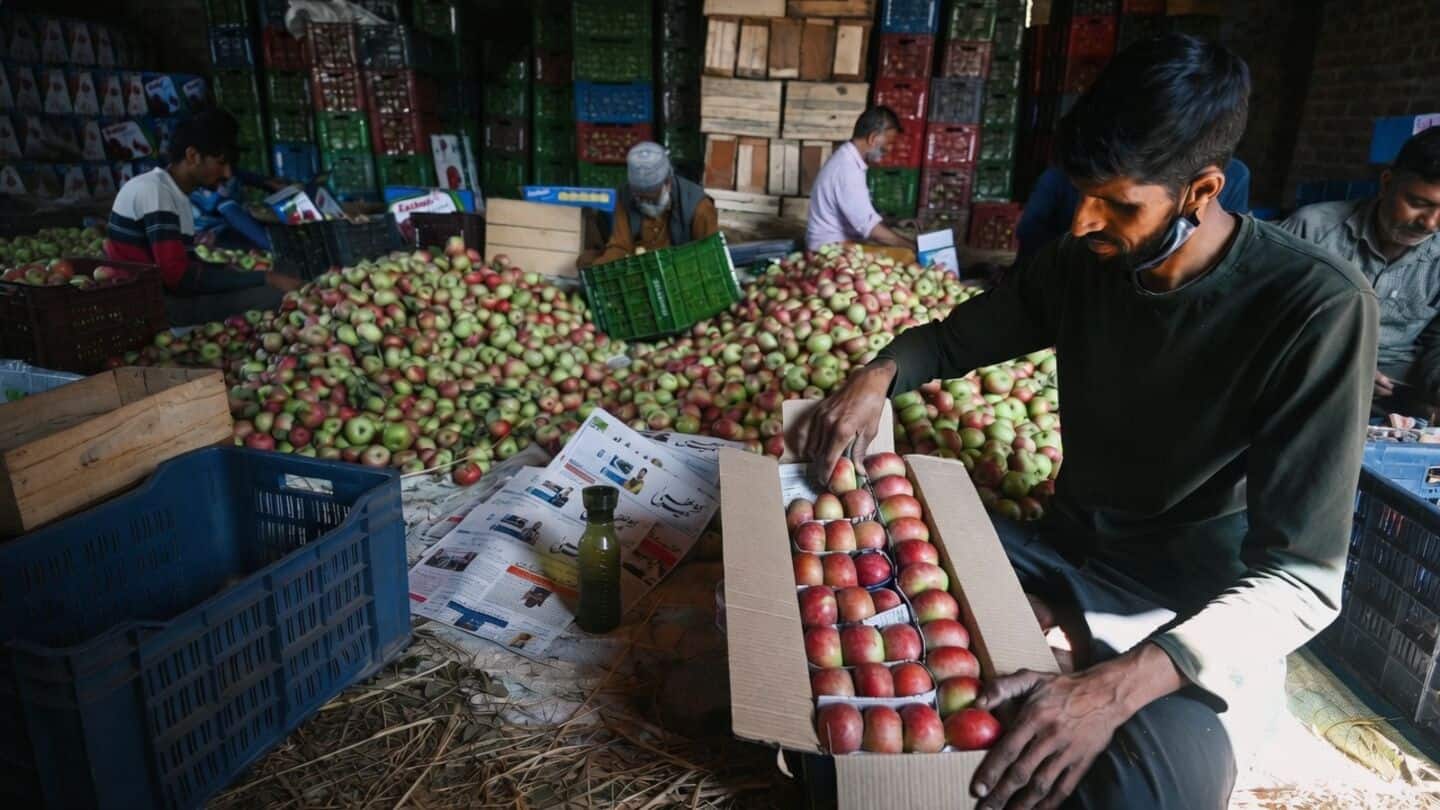 Unusual Himachal weather cuts apple output hikes Kashmiri apple prices