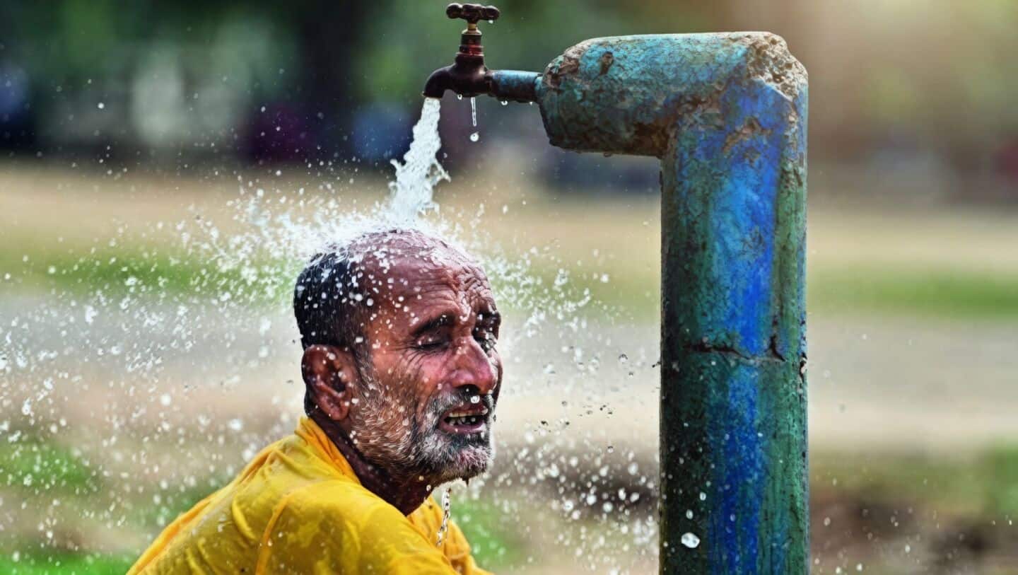WMO predicts 80% El Nino chance June-August, India monsoon risk