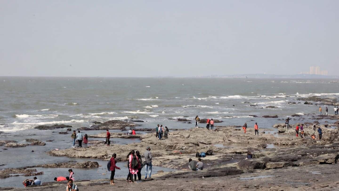 IMD issues yellow alert for Mumbai and Thane after 39.3°C