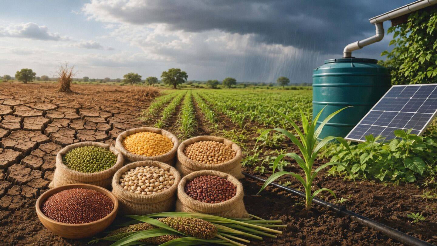 India launches policy to add 131 LMT food grain storage