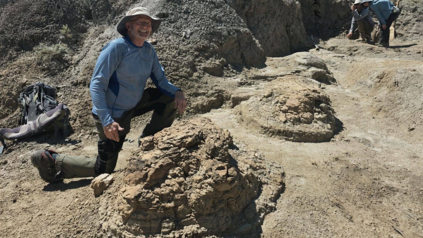 Kent Hups uncovers 1st reported likely adult T. rex trackway