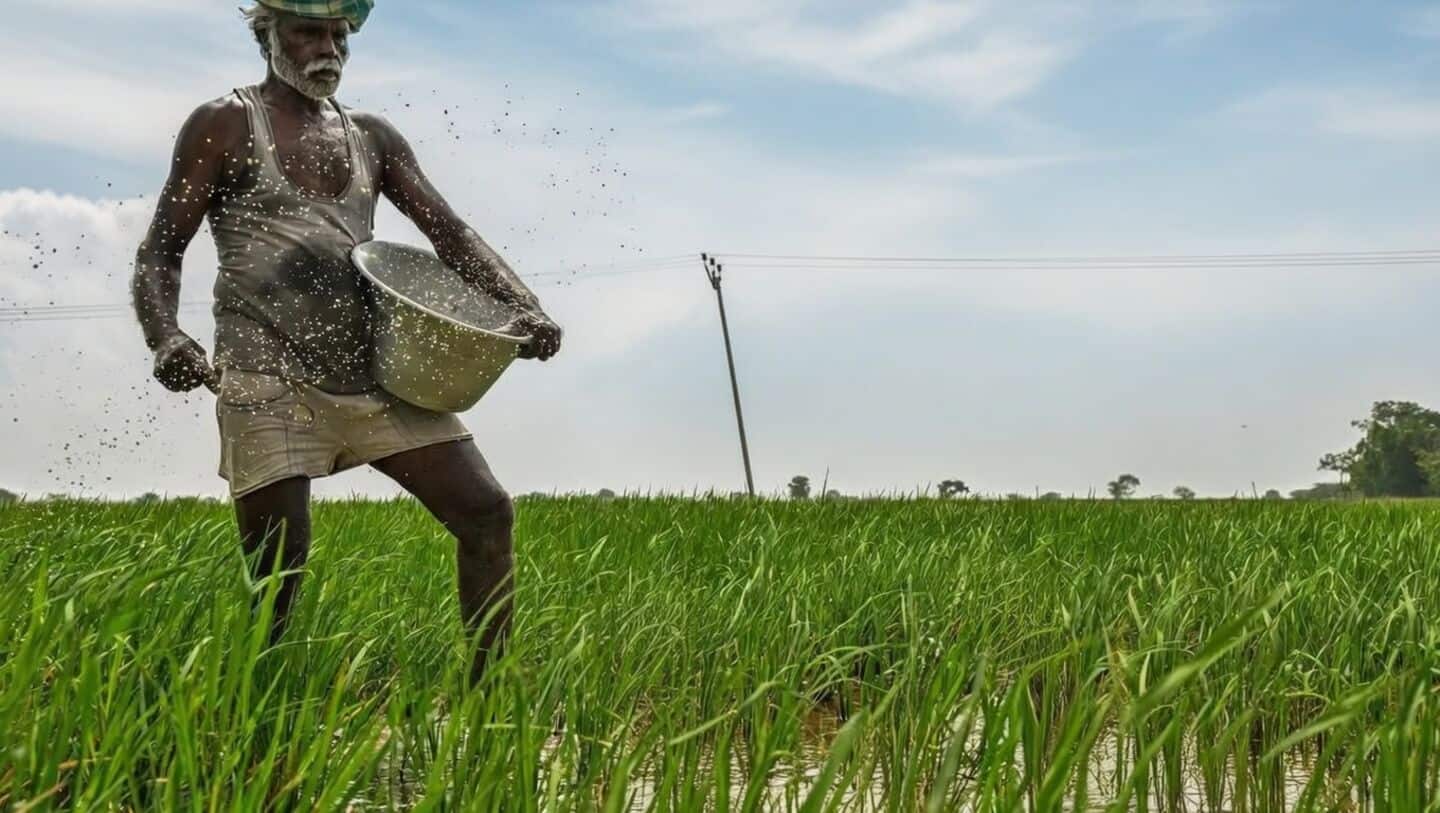 India to import record 1.35 million tons of DAP fertilizer