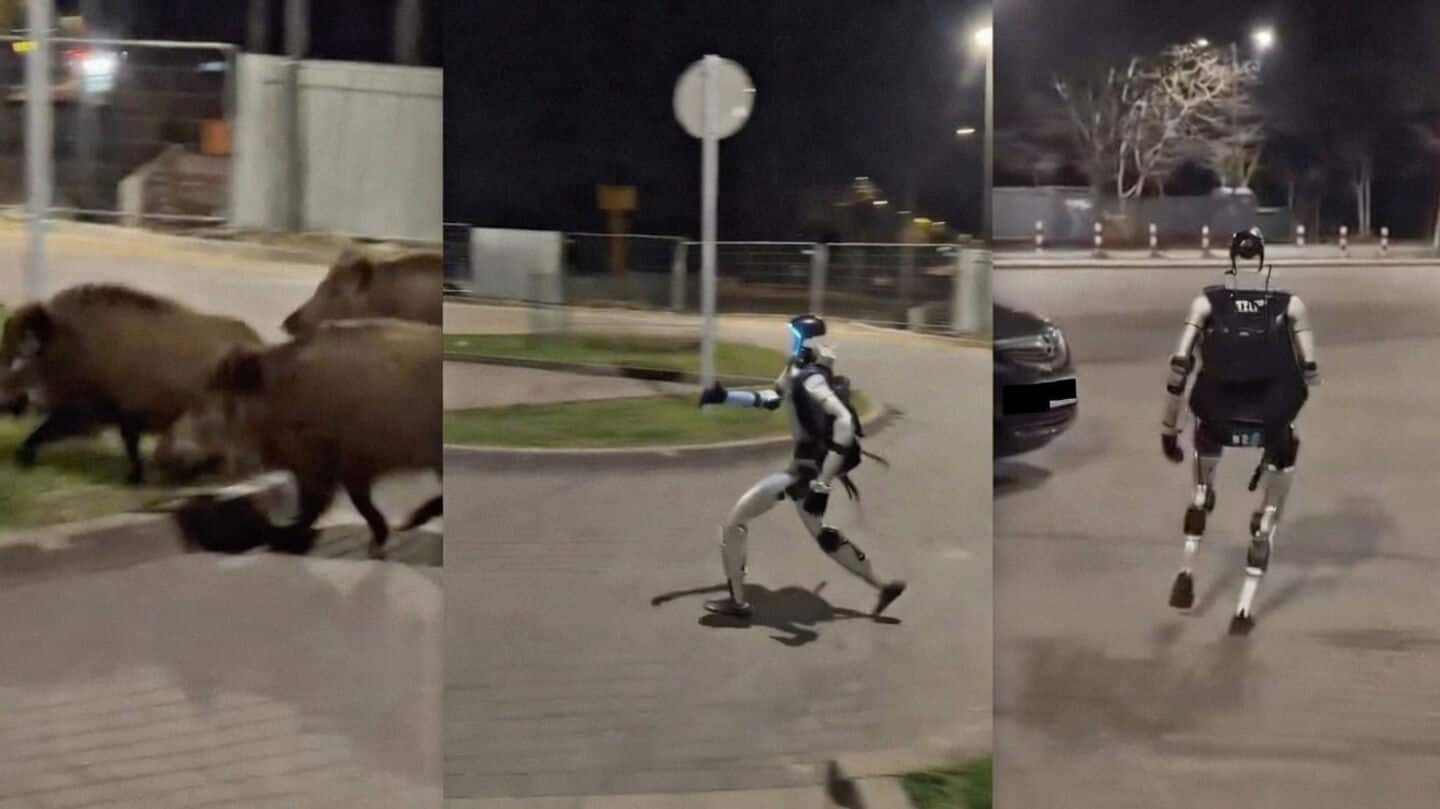 Robot Edward Warchocki chases wild boars, becomes online sensation