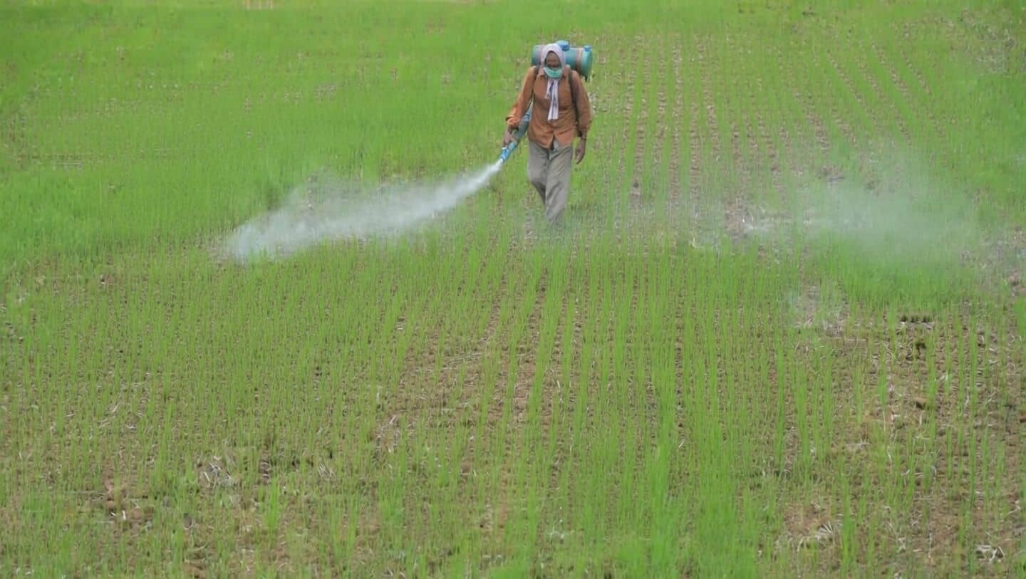 India eyes paraquat ban over Parkinson's and kidney failure risks