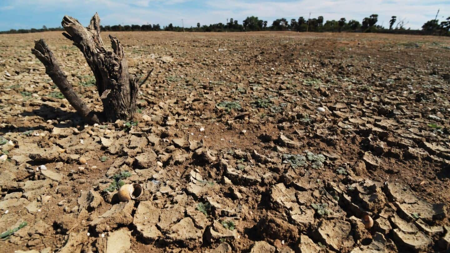 Tamil Nadu forms committee for possible El Nino in 2026