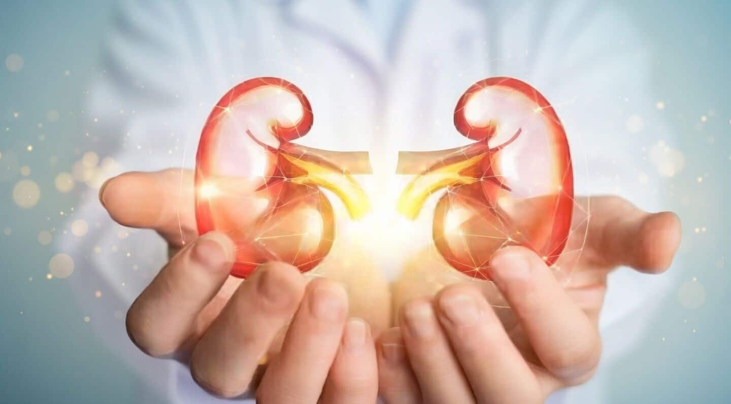 Kanpur police uncover kidney transplant racket via Telegram WhatsApp groups