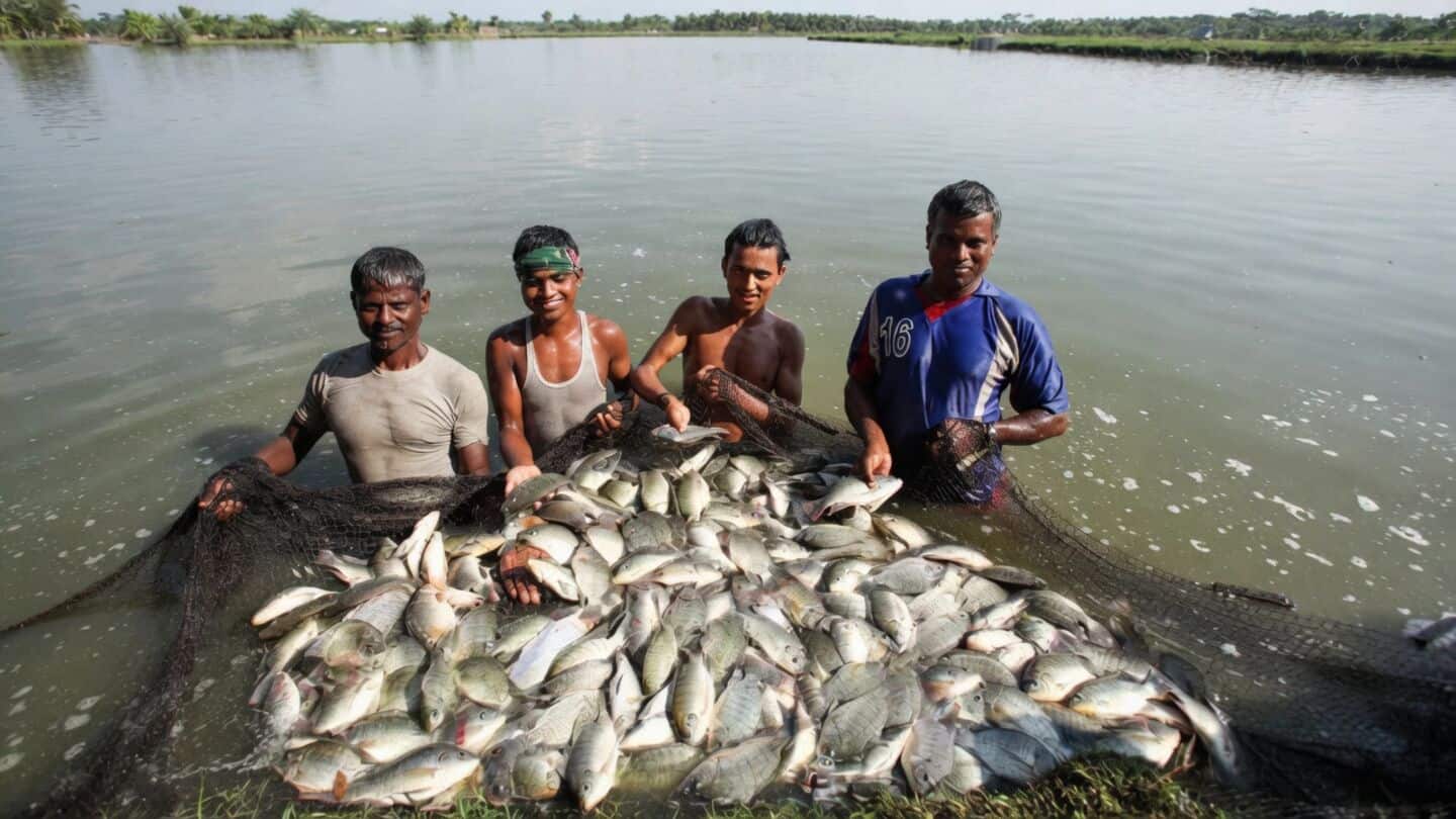 Floods from Nepal sweep strange fish into Bagaha, locals sick