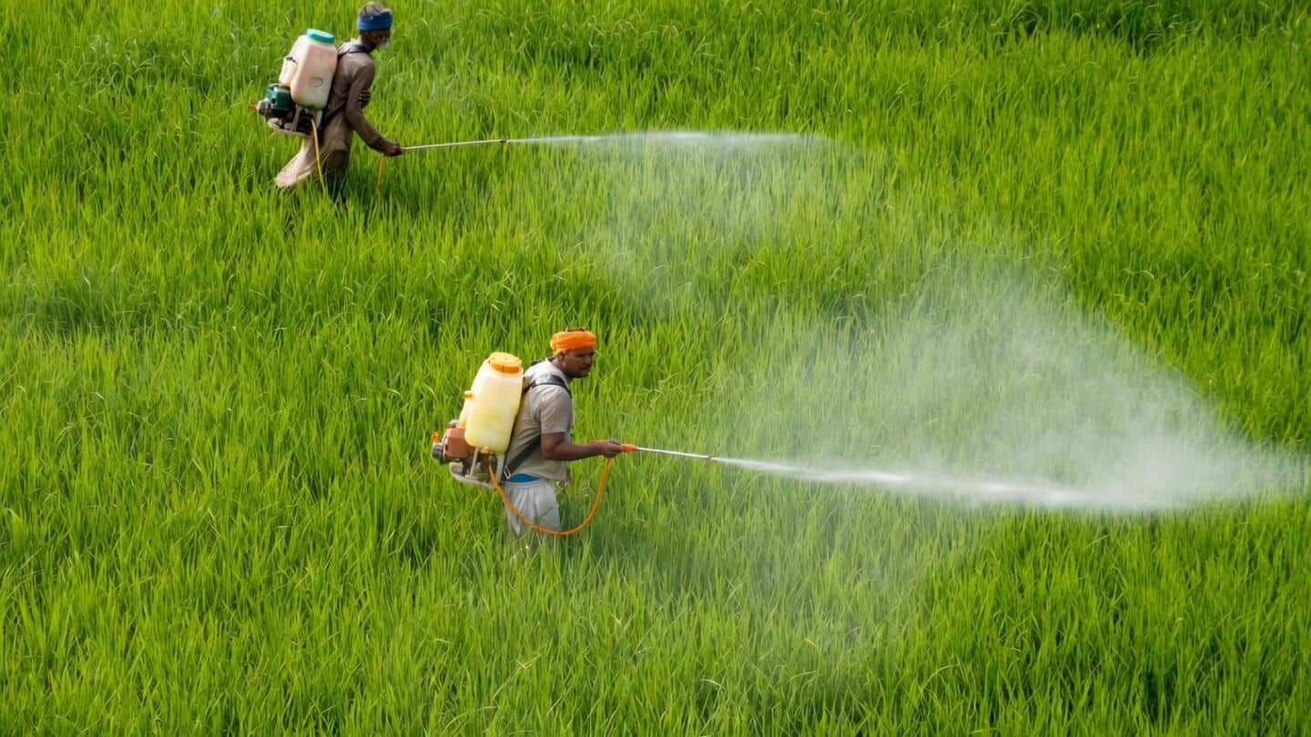 India weighing restrictions on highly toxic carbosulfan with August deadline