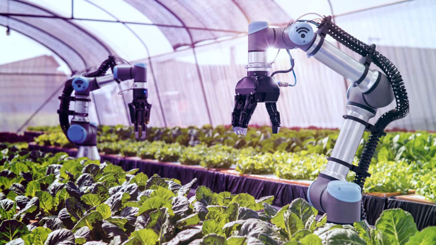 AI robots: The new weed killers and farm hands
