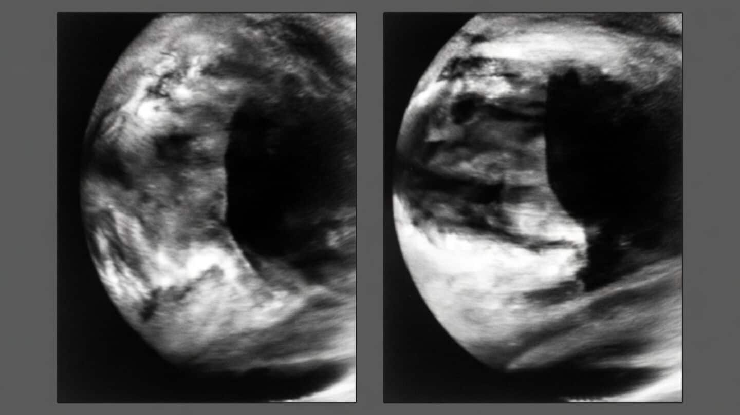 Scientists identify Venus cloud wave as giant hydraulic jump