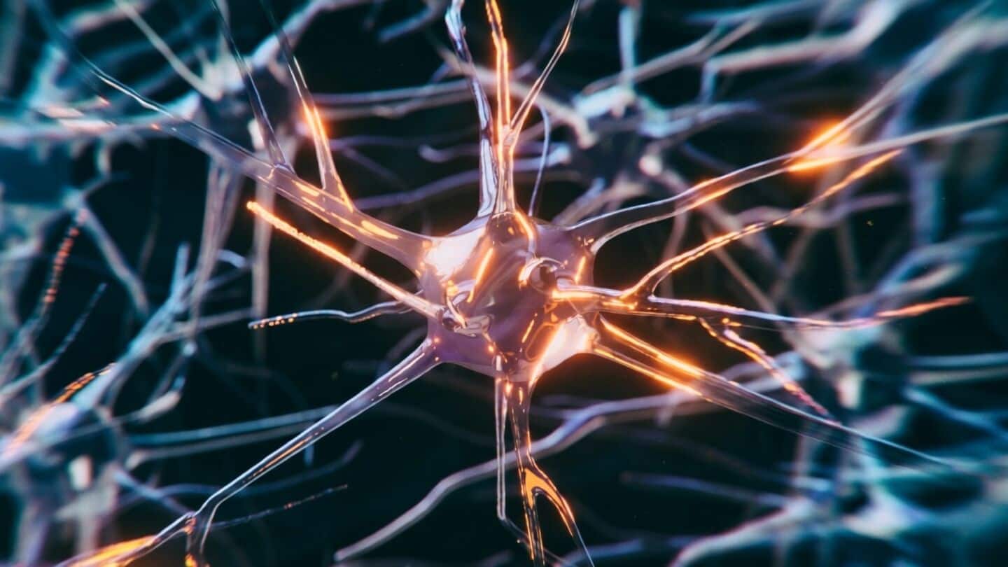 University of South Carolina's nano-eraser reverses Alzheimer's symptoms in mice